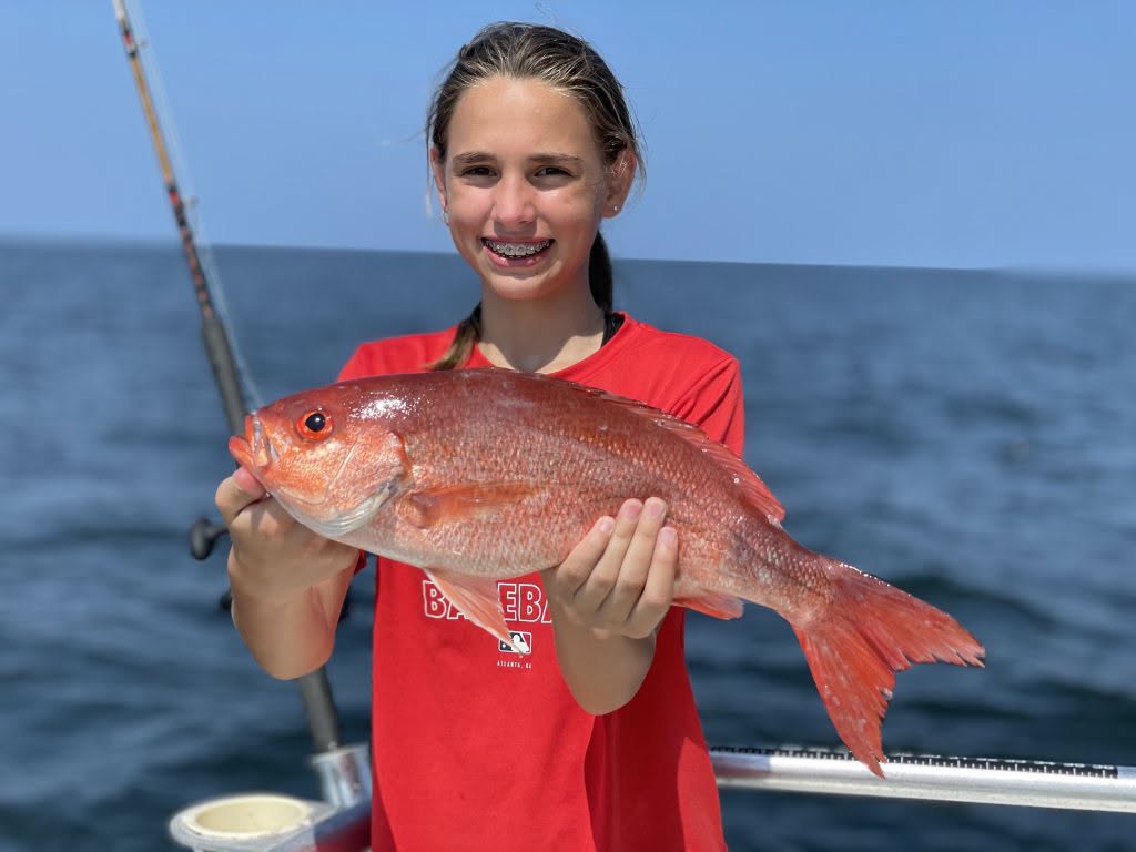 Triggerfish and beeliner: two Gulf reef fish worth targeting