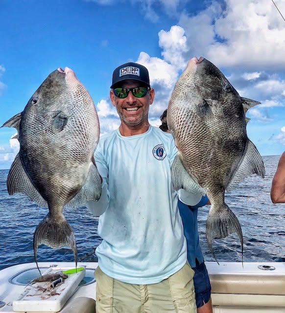 Triggerfish and beeliner: two Gulf reef fish worth targeting